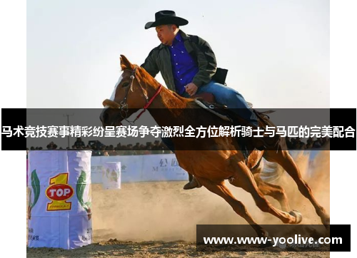 马术竞技赛事精彩纷呈赛场争夺激烈全方位解析骑士与马匹的完美配合